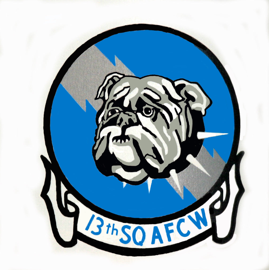 Cadet Squadron 13 "Bulldawgs"
