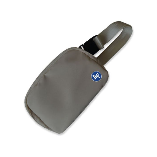 Belt Bag with Medallion - Gray