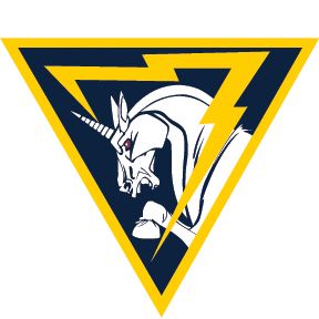 Cadet Squadron 07 "Shadow Seven"