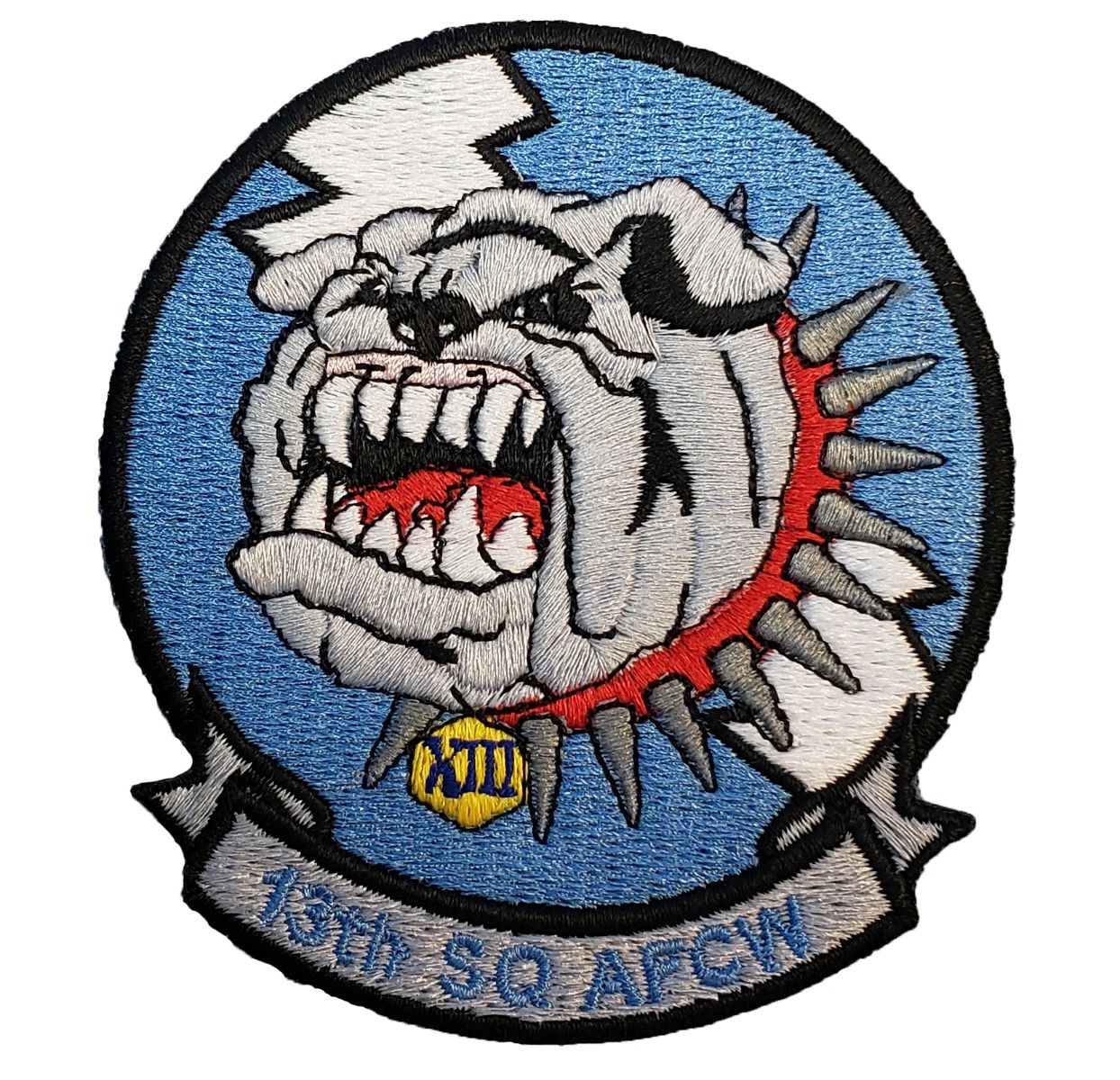 Cadet Squadron 13 "Bulldawgs"