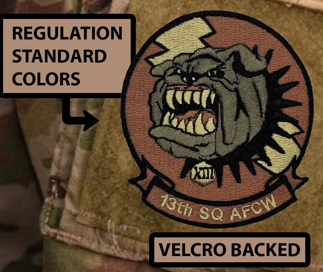Cadet Squadron 13 "Bulldawgs"