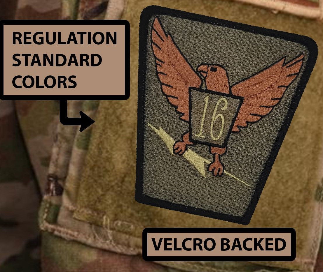 Cadet Squadron 16 "Chicken Hawks"