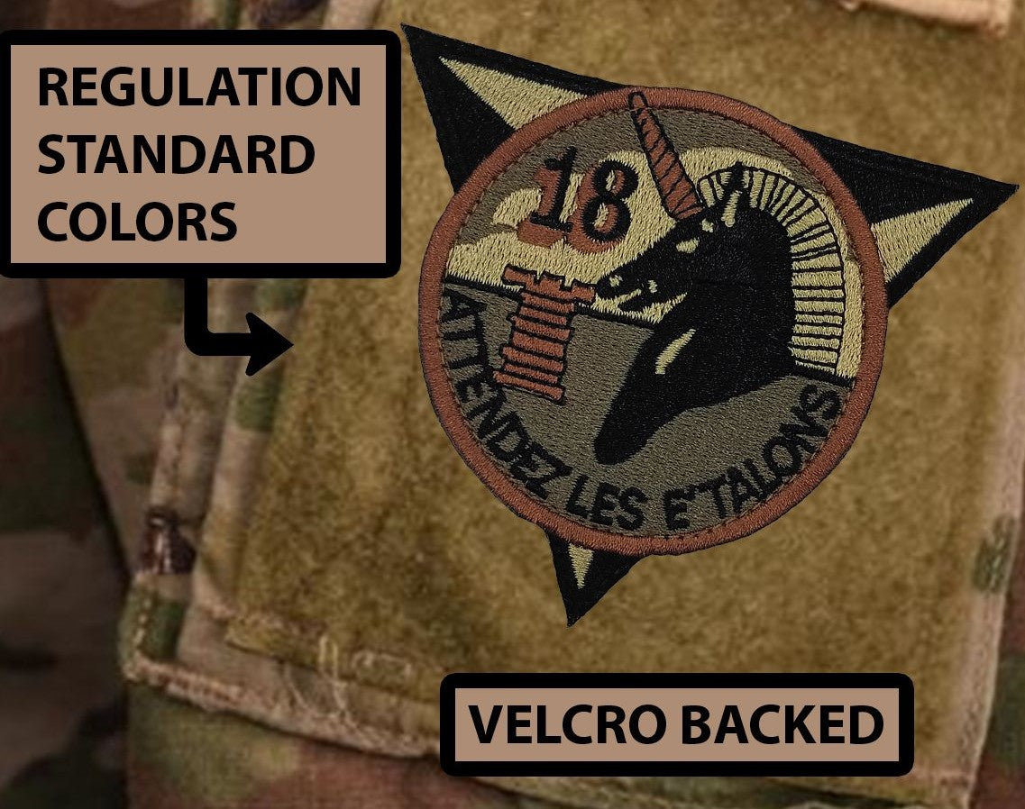 Cadet Squadron 18 "Nightriders"