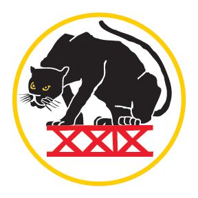 Cadet Squadron 29 "Black Panthers"