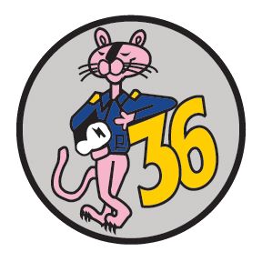 Cadet Squadron 36 "Pink Panthers"