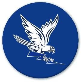 Round Falcon Button Magnet