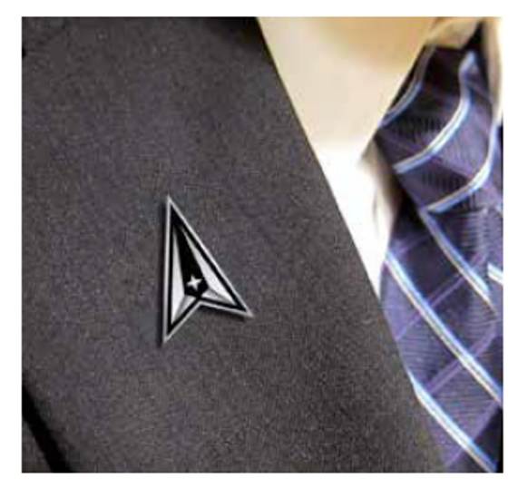 U.S. Space Force Delta Lapel Pin