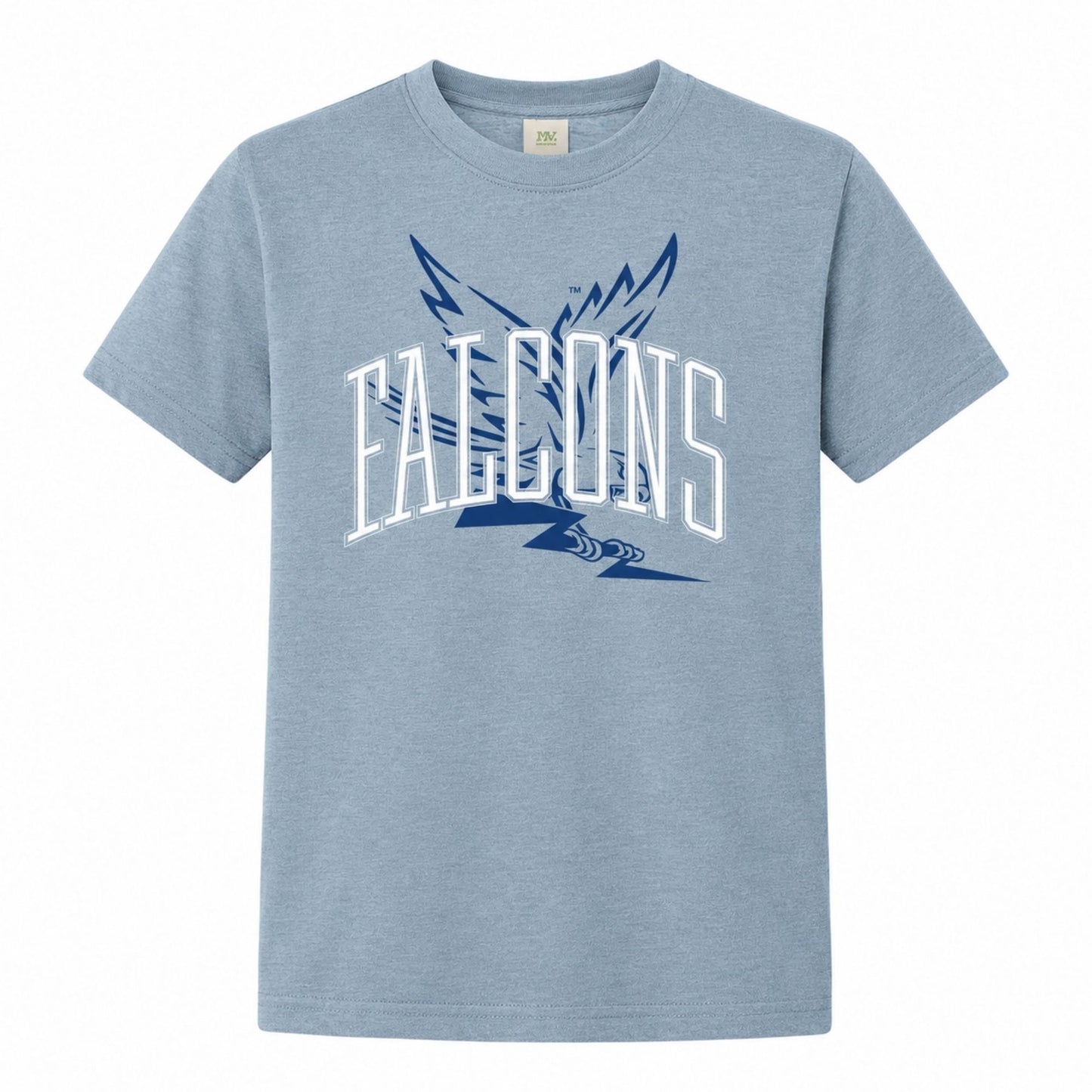 Youth light blue Falcons graphic t-shirt with bold collegiate lettering and wing artwork