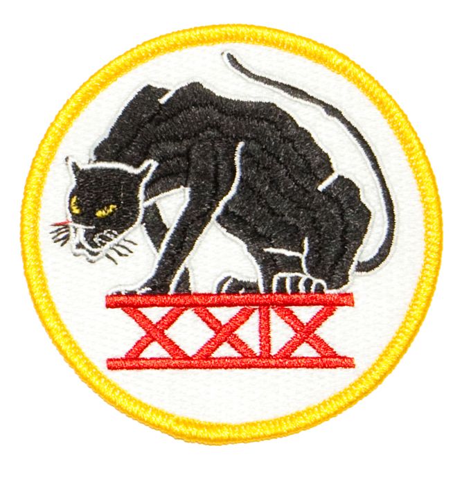 Cadet Squadron 29 "Black Panthers"