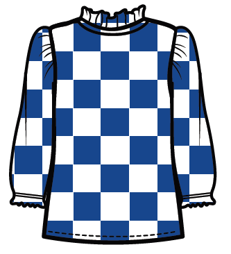Poly Ruffle Blue & White Check 3/4 Sleeve Blouse