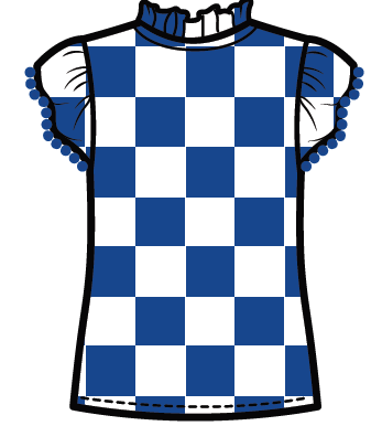 Poly Ruffle Sleeve Blue & White Check Blouse