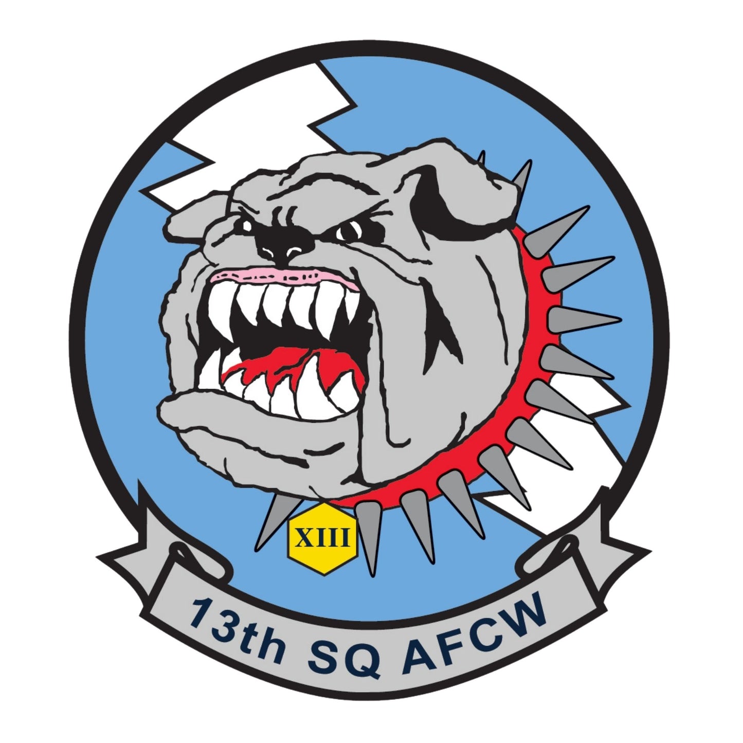 Cadet Squadron 13 "Bulldawgs"