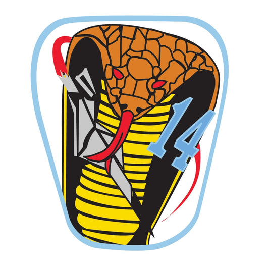 Cadet Squadron 14 "Cobras"