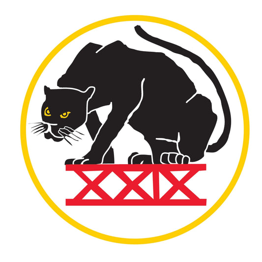 Cadet Squadron 29 "Black Panthers"