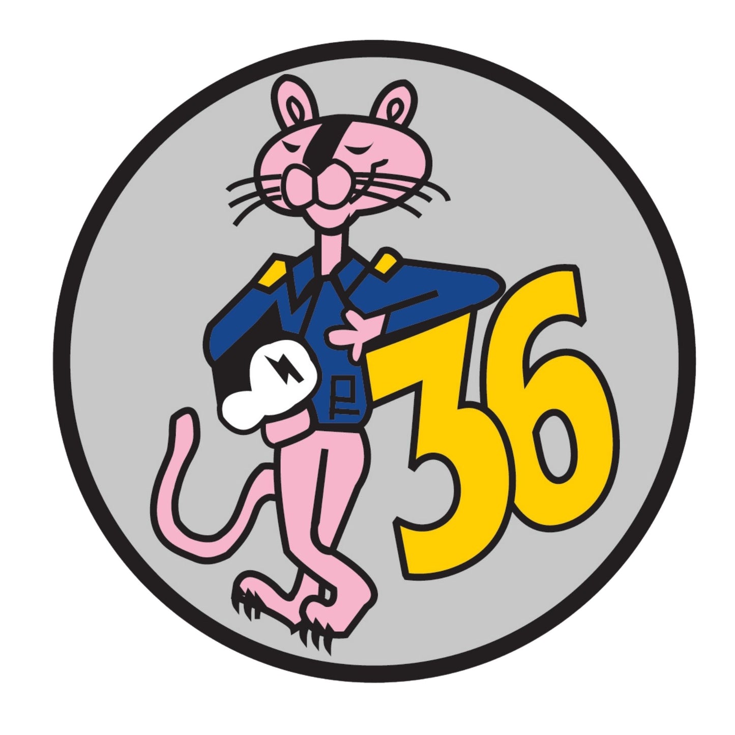 Cadet Squadron 36 "Pink Panthers"