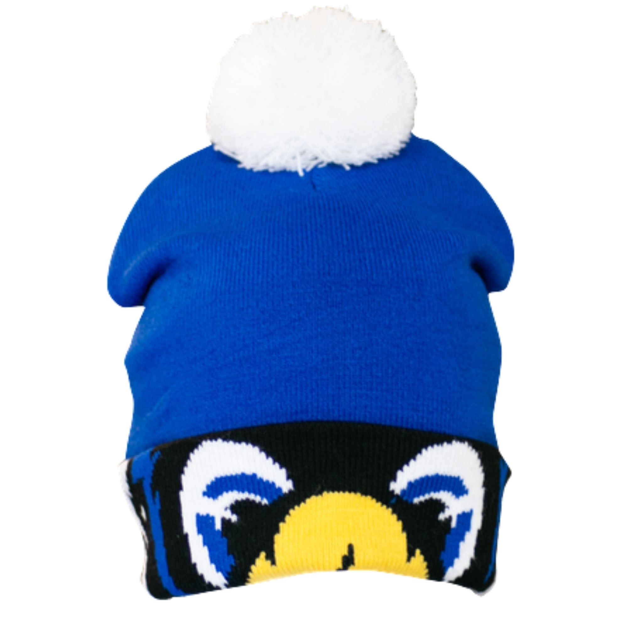 Falcon Mascot Knit Beanie| USAFA Accessories – Doolittle Outfitters