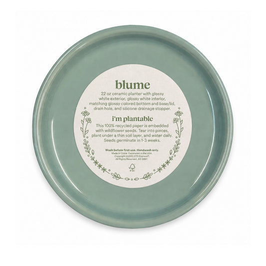 Air Force Academy Grandma ceramic planter with glossy white finish, Meadow Green drainage plate, and coordinating Air Force Academy Grandma design.