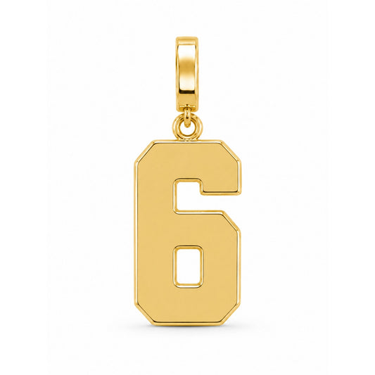 18k gold-plated USAFA cadet squadron number 6 charm with clasp